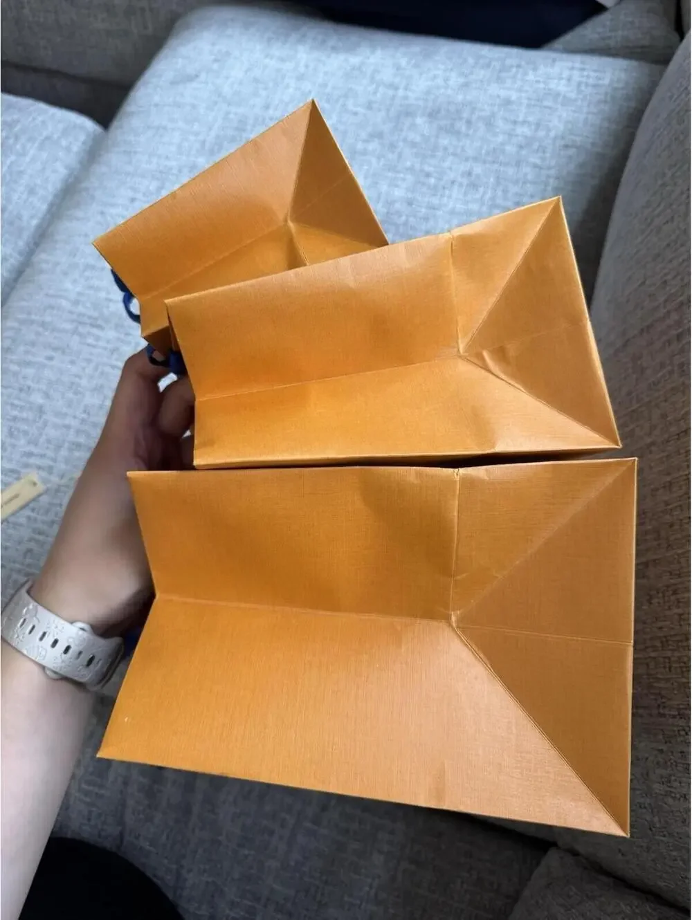 Louis Vuitton 3 Paper Shopping Bags + Wallet Dust Bag + Ribbon and gift note